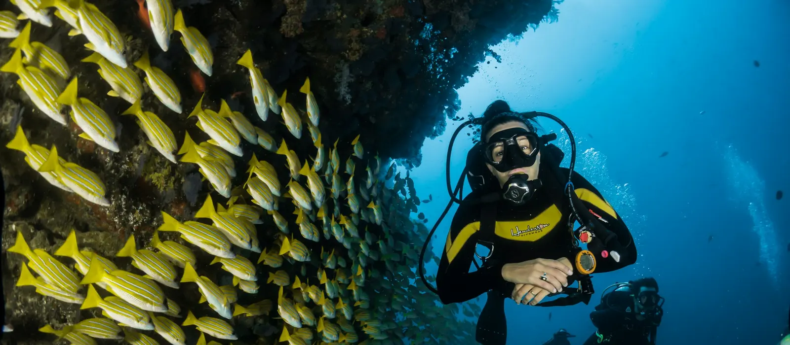 Plongée sous-marine