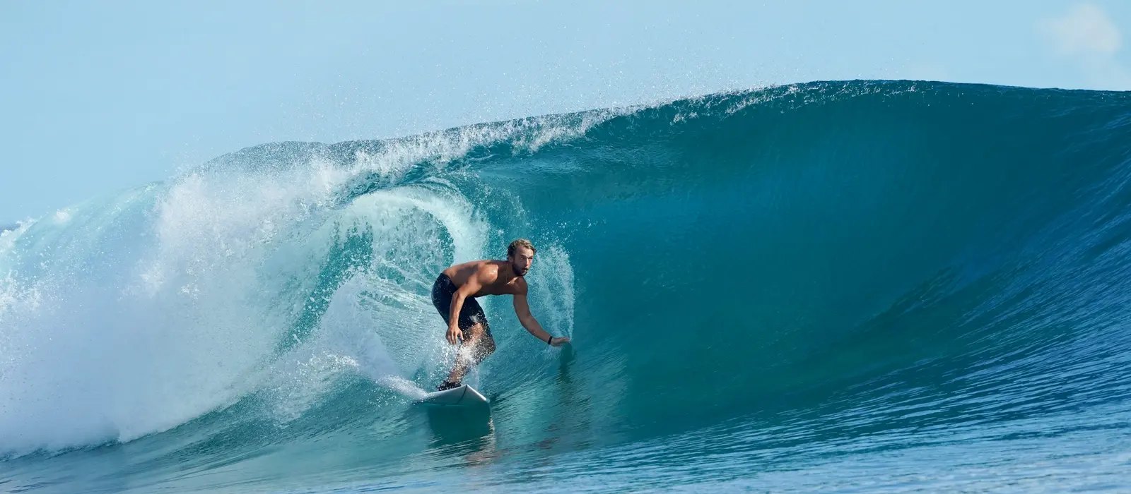 Surf